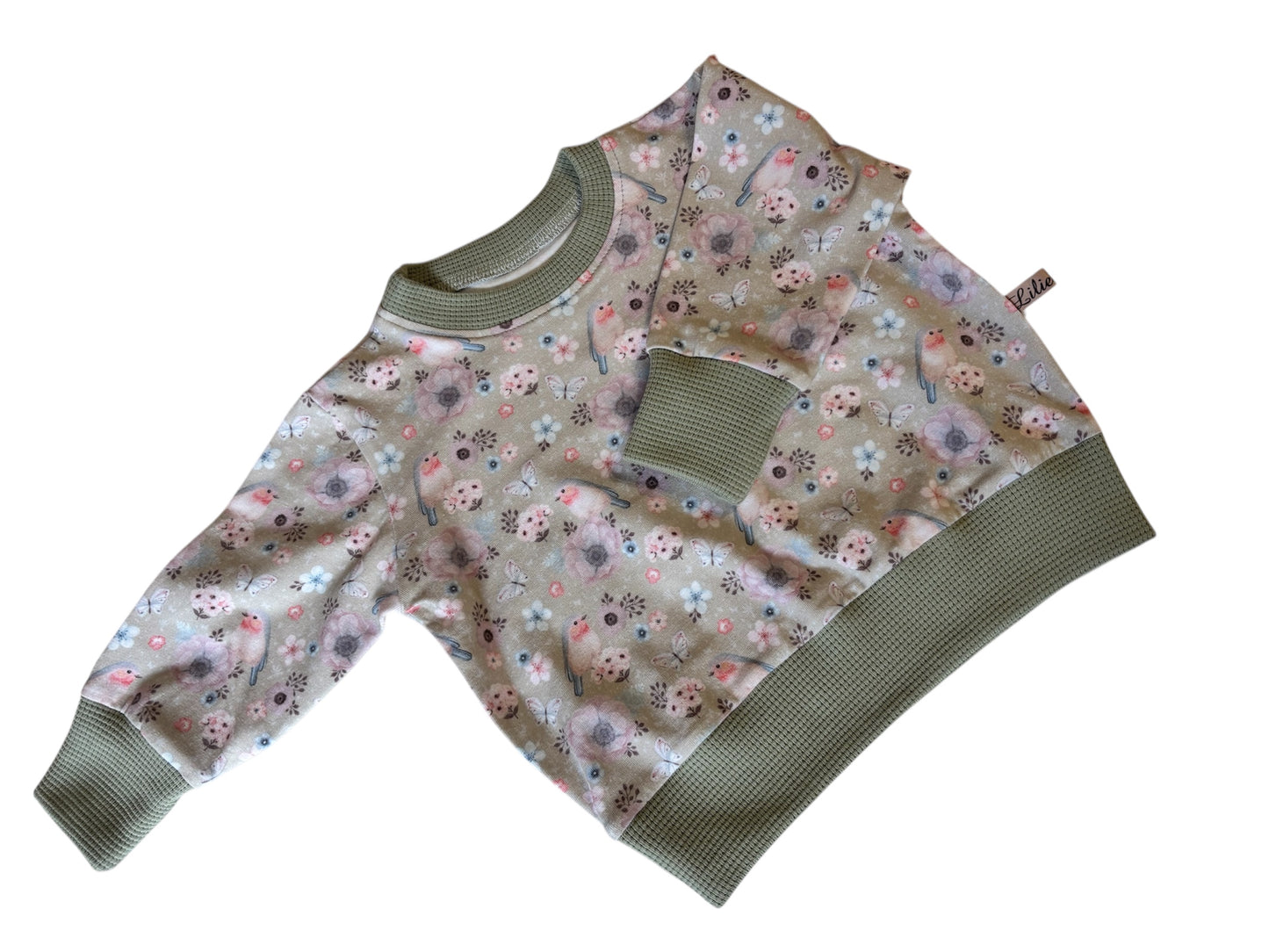 Oversizepulli aus Baumwolljersey-Vogelgezwitscher/mintgrün